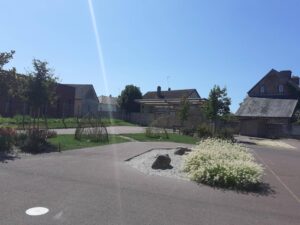 végétalisation_cour_école_heb_1